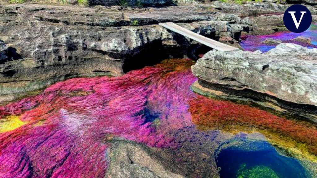 Colombia : ¡El Río Más Bello del Mundo Te Espera en Caño Cristales! 1 colombia el rio mas bello del mundo te espera en cano cristales
