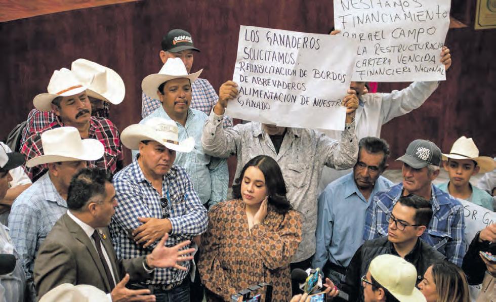 Don Cresencio Recibe Apoyo Tras Robo de Ganado: Gobierno Ofrece Crédito Ganadero 1 don cresencio recibe apoyo tras robo de ganado gobierno ofrece credito ganadero