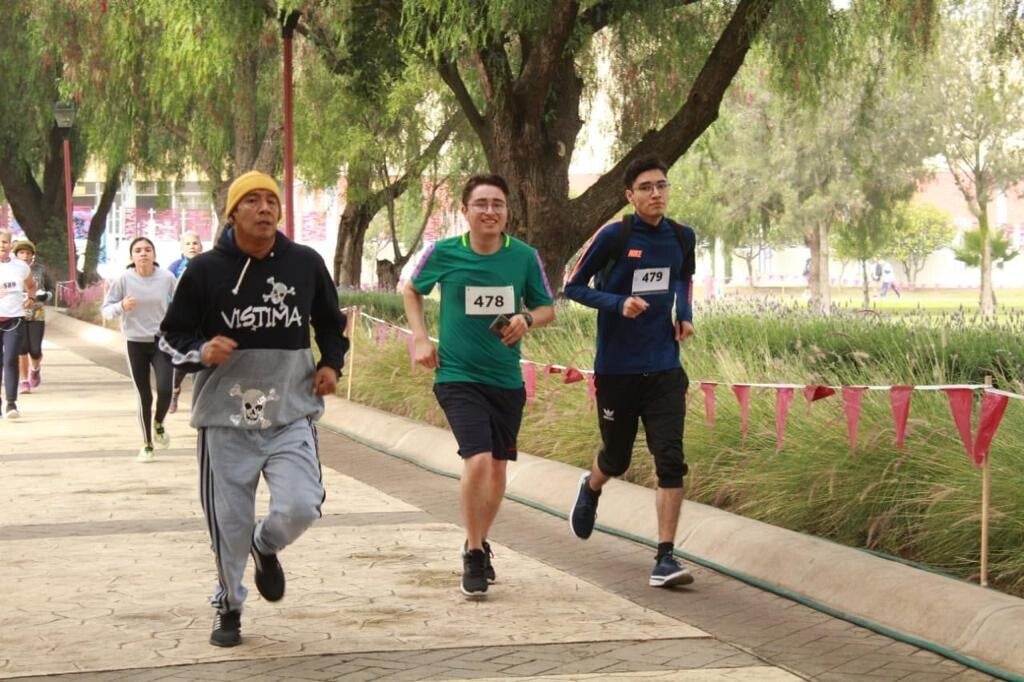 Ejercicio y Bienestar: Conquistando los Cerros de Tlalpan 1 ejercicio y bienestar conquistando los cerros de tlalpan