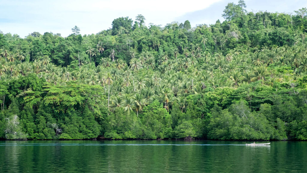 Escape de la Rutina, Inundado por la Naturaleza: Aventuras en Panamá 1 escape de la rutina inundado por la naturaleza aventuras en panama