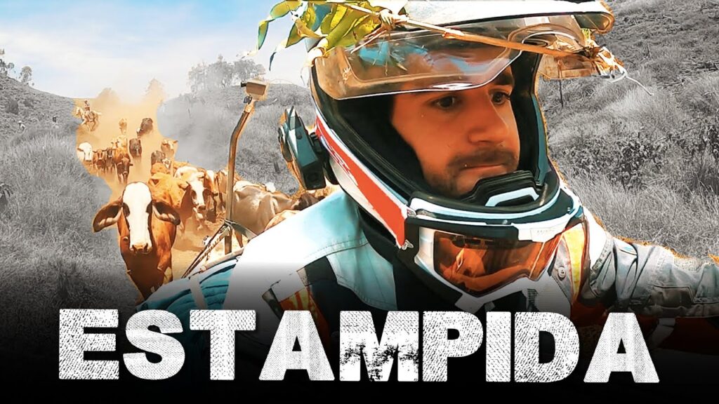 ¡Estampida de Vacas! Aventuras en Moto por Colombia 1 estampida de vacas aventuras en moto por colombia