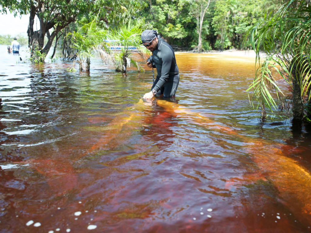 Guyana en Moto: Locura o Valentía? Aventuras en la Selva Amazónica 1 guyana en moto locura o valentia aventuras en la selva amazonica