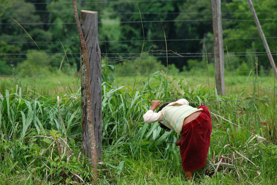 La Cosmovisión Mbyá Guaraní: Un Viaje Espiritual en Armonía con la Naturaleza 1 la cosmovision mbya guarani un viaje espiritual en armonia con la naturaleza