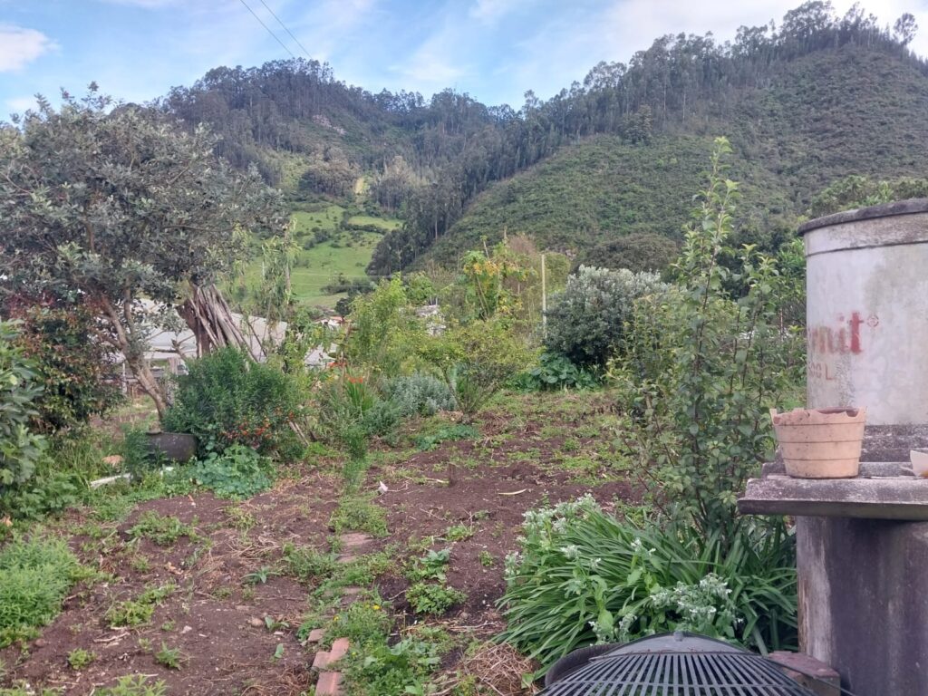 La Sabiduría de Don Kiko: Un Campesino que Encuentra la Paz en la Naturaleza 1 la sabiduria de don kiko un campesino que encuentra la paz en la naturaleza