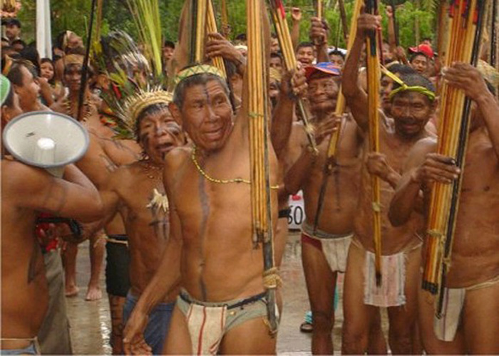 La Tribu Campesina: Un Llamado a la Dignidad en Colombia 1 la tribu campesina un llamado a la dignidad en colombia