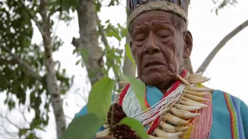 La tribu de los Taitas: Un llamado a la autonomía y la conexión con la tierra 1 la tribu de los taitas un llamado a la autonomia y la conexion con la tierra