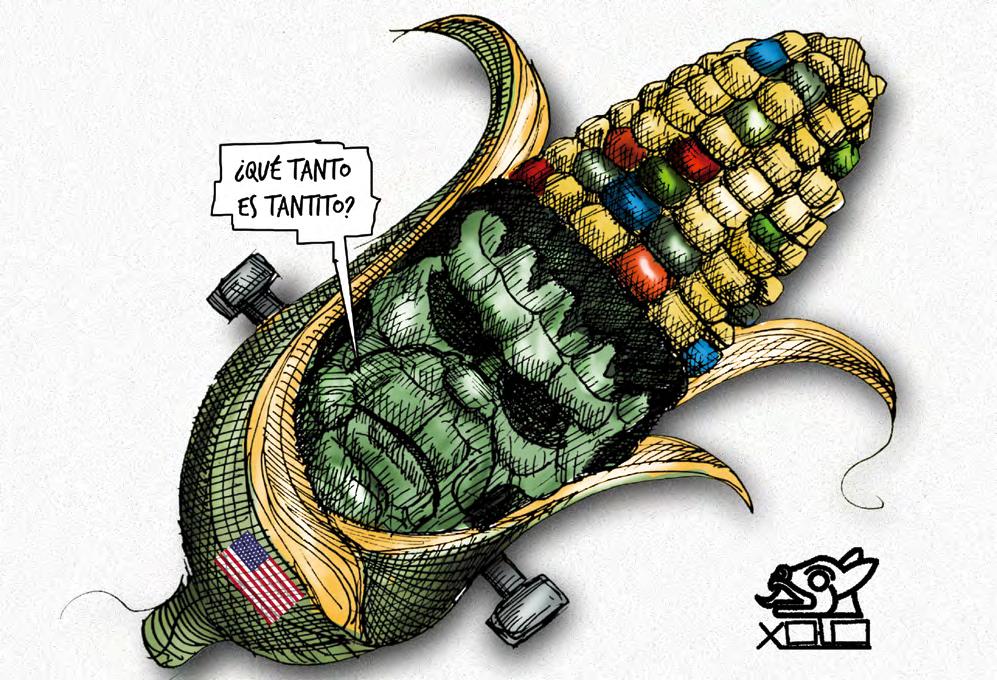 Panel de Expertos: Maíz Transgénico y Salud Humana - Despejando Dudas 1 panel de expertos maiz transgenico y salud humana despejando dudas