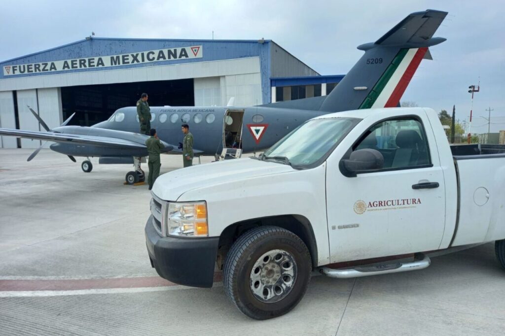 Sedena Bombardea Nubes para Lluvia: ¿Solución o Riesgo para el Valle de México? 1 sedena bombardea nubes para lluvia solucion o riesgo para el valle de mexico