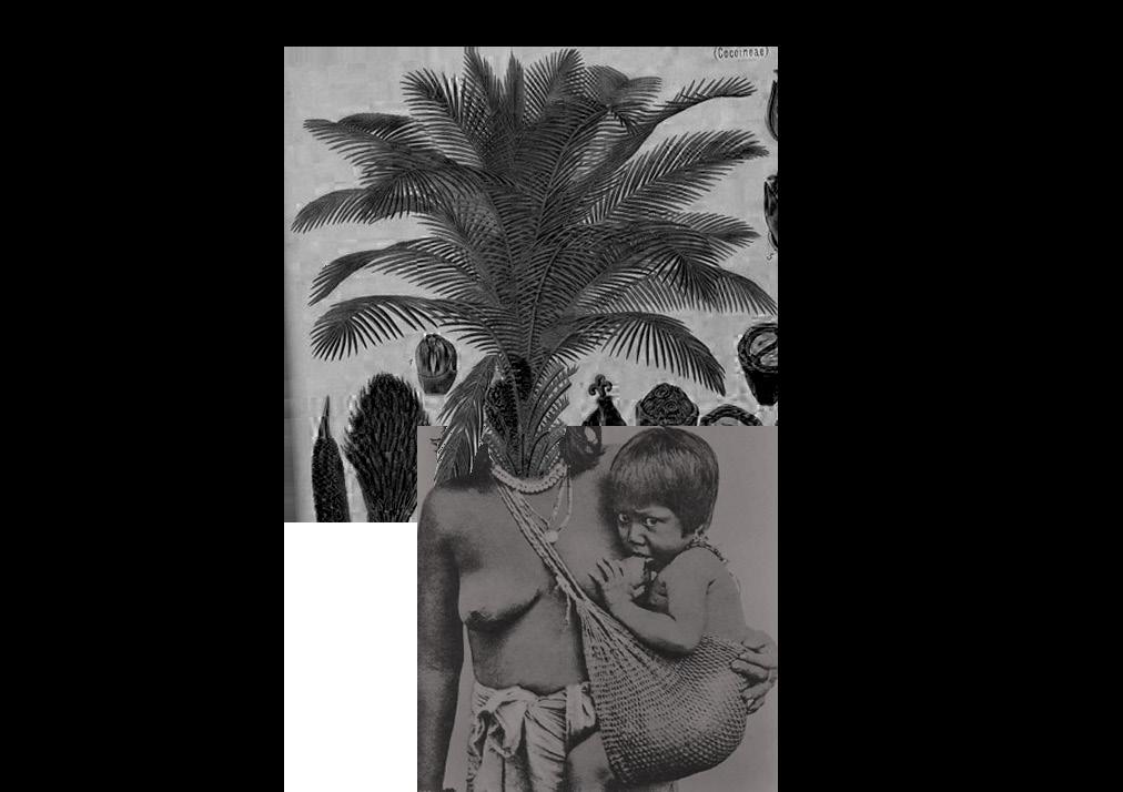 Taita Polivio: Un Llamado a la Unidad y la Transformación Social 1 taita polivio un llamado a la unidad y la transformacion social