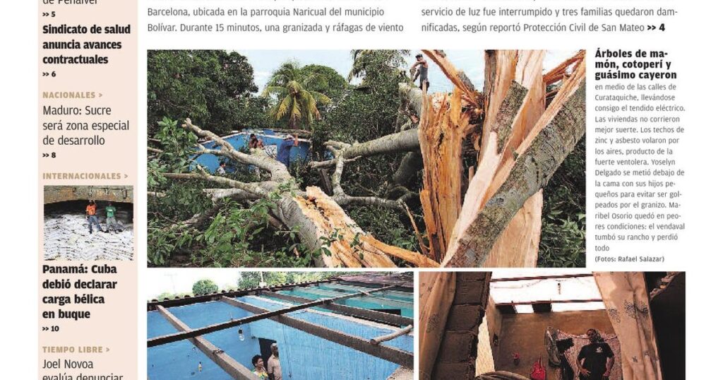 ¡Tarántula Gigante en Boyacá! Viaje épico por Colombia ️ 1 tarantula gigante en boyaca viaje epico por colombia efb88f
