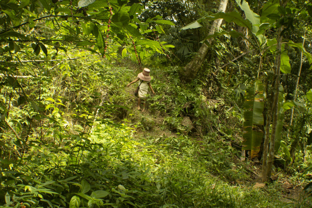 The Road Tribe: Un viaje hacia la armonía con la naturaleza 1 the road tribe un viaje hacia la armonia con la naturaleza