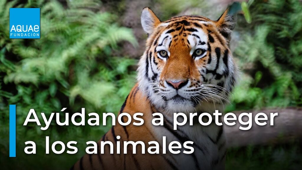 Acciones que los desarrolladores pueden tomar para proteger especies 1 acciones que los desarrolladores pueden tomar para proteger especies