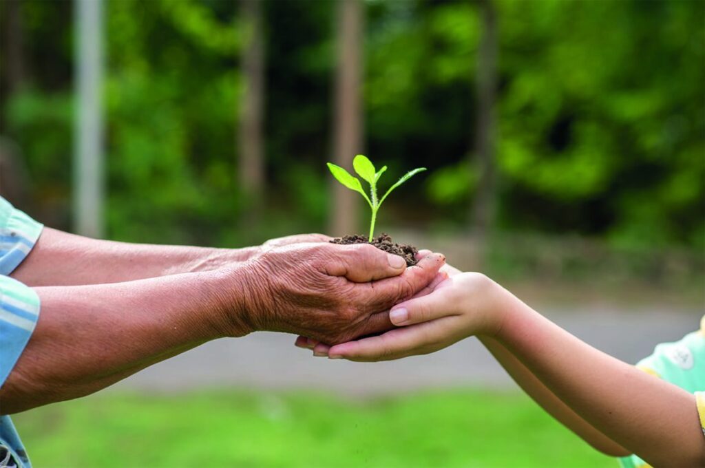 Análisis de costo-beneficio para promover la biodiversidad 1 analisis de costo beneficio para promover la biodiversidad