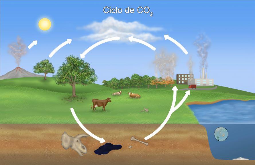 Aplicaciones prácticas de climatogramas en la vida diaria 1 aplicaciones practicas de climatogramas en la vida diaria