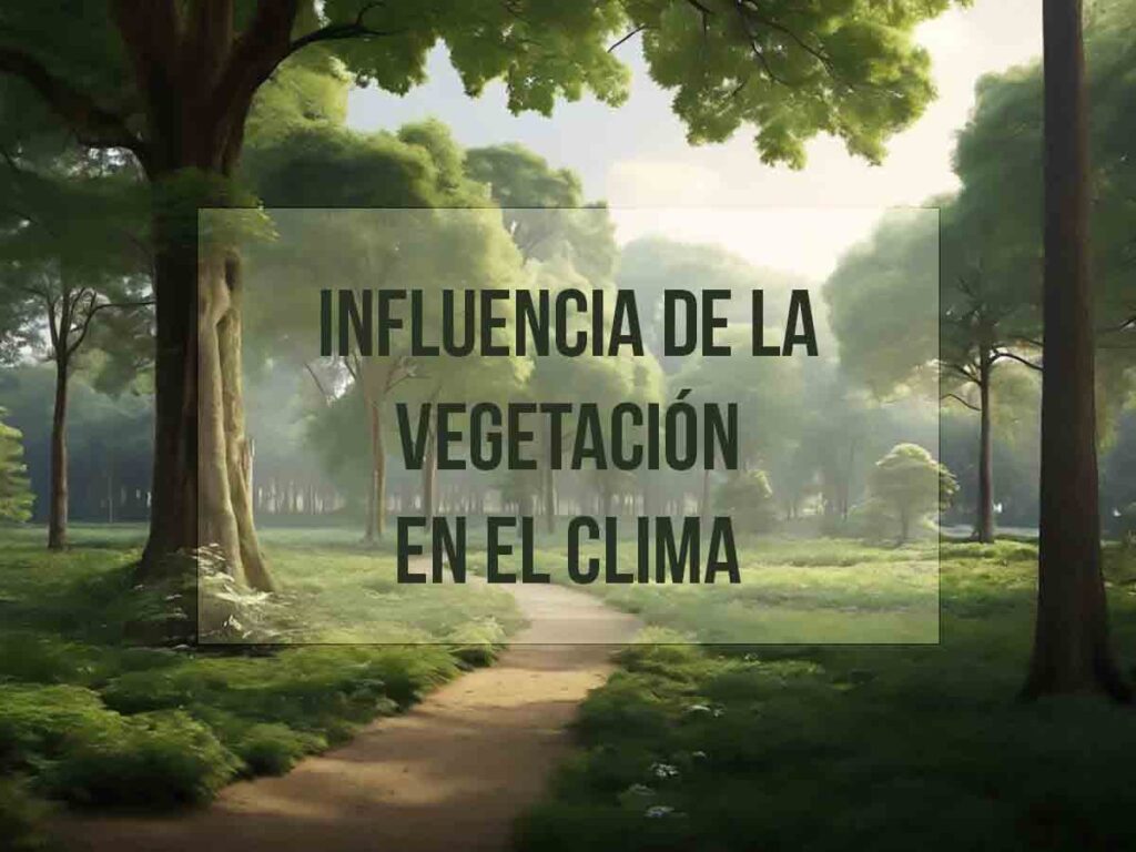 Cómo influye la vegetación en la temperatura local 1 como influye la vegetacion en la temperatura local