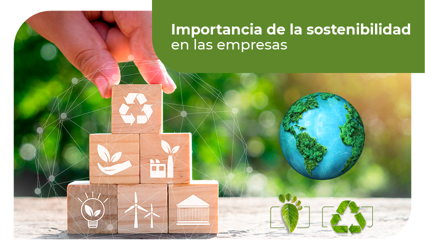 Cómo lograr un equilibrio entre costo y sostenibilidad 1 como lograr un equilibrio entre costo y sostenibilidad