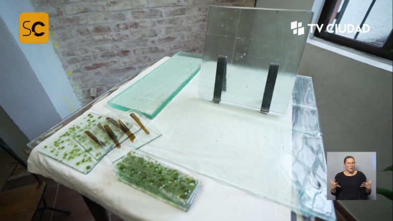 Cómo se obtiene el vidrio reciclado para construcción 1 como se obtiene el vidrio reciclado para construccion