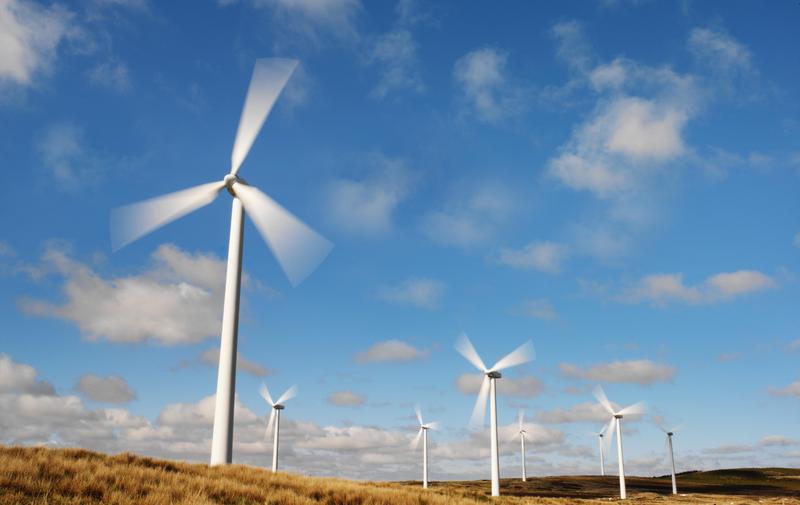 Fenología de la Deshidratación Estacional en Ecosistemas Naturales 1 como se producen los vientos a partir de la presion