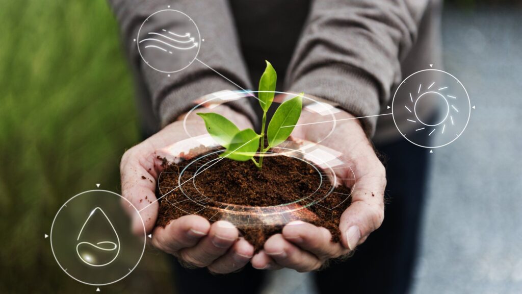 Cómo se realiza un estudio de impacto ambiental 1 como se realiza un estudio de impacto ambiental