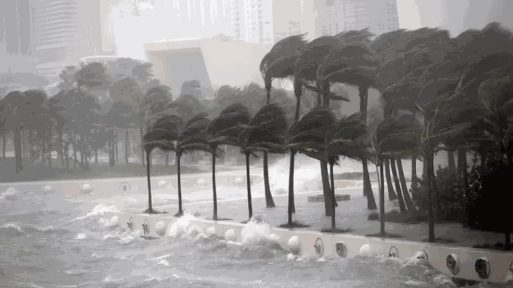 Cuál es la frecuencia de eventos de viento extremo 1 cual es la frecuencia de eventos de viento extremo