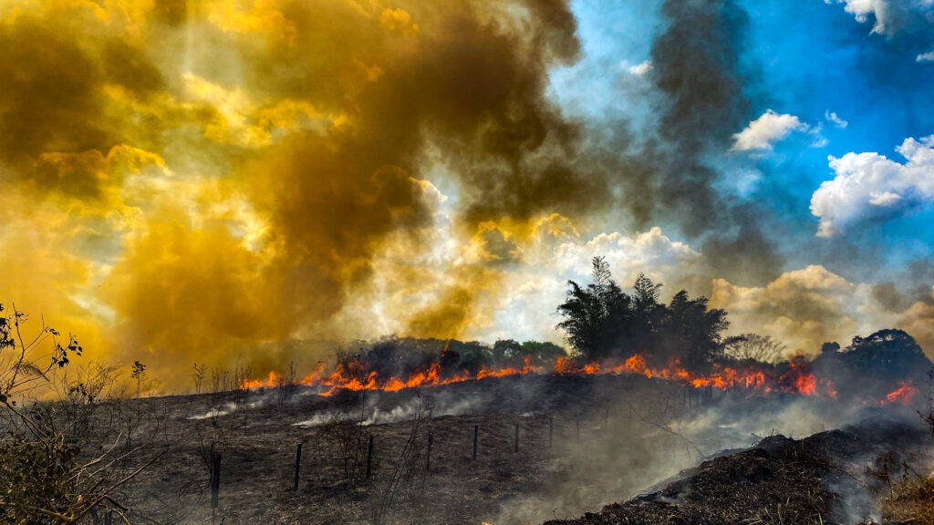 Cuáles son las principales políticas climáticas globales 1 cuales son las principales politicas climaticas globales