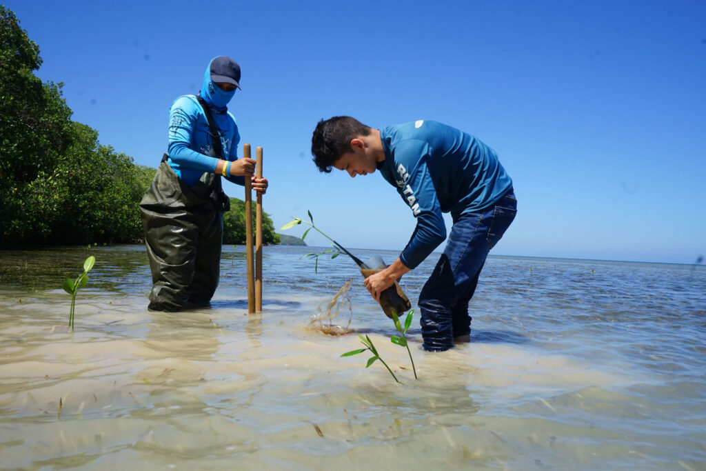 Cuáles son los ejemplos exitosos de adaptación climática 1 cuales son los ejemplos exitosos de adaptacion climatica