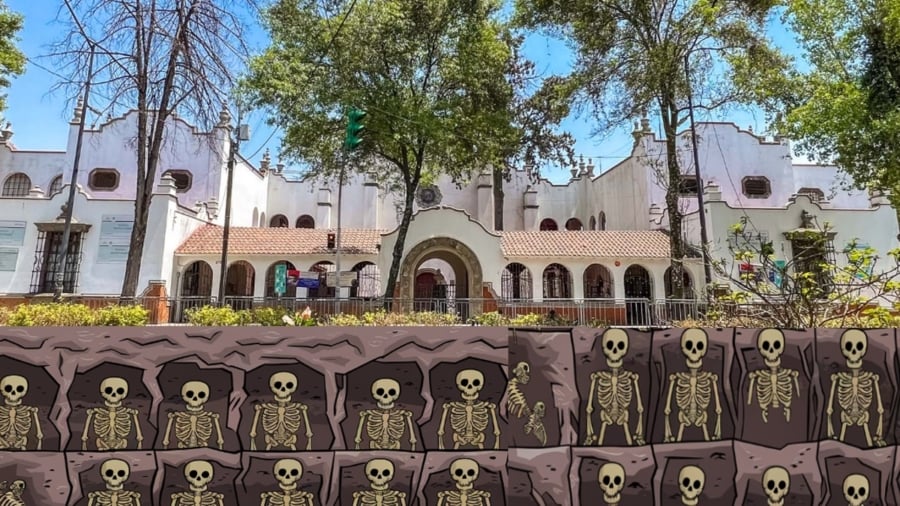 Descubre el Museo de la Ciudad de Veracruz 1 descubre el museo de la ciudad de veracruz