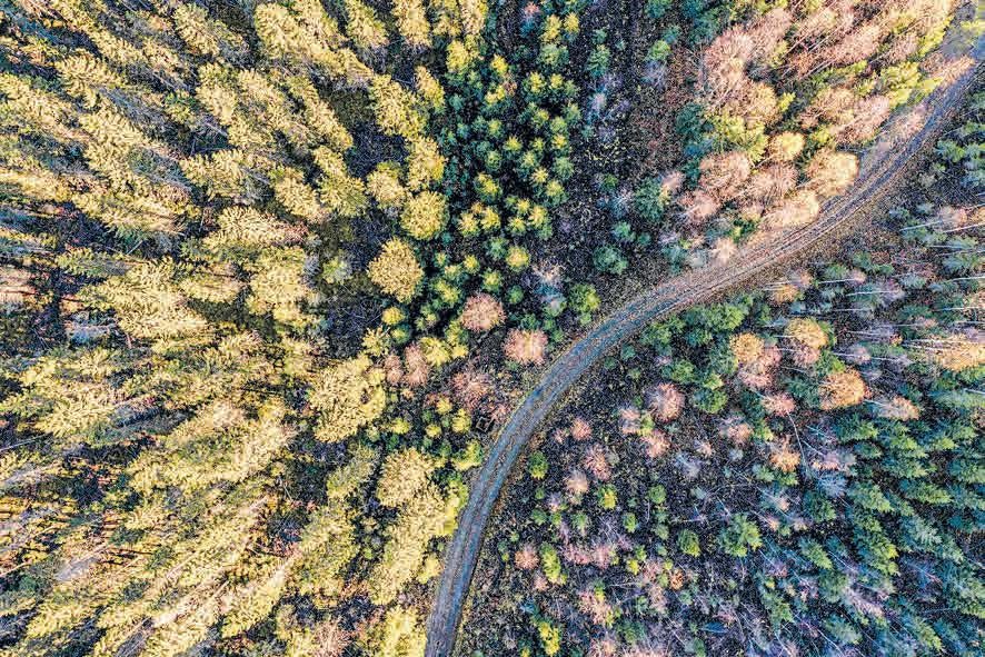 Edificio Hakim: Tráfico en Tiempo Real a Jesús Reyes Heroles 36, Xalapa 1 edificio hakim trafico en tiempo real a jesus reyes heroles 36