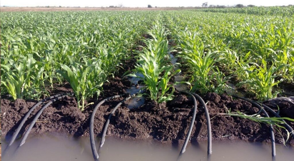 Efecto invernadero y su impacto en la agricultura sostenible 1 efecto invernadero y su impacto en la agricultura sostenible