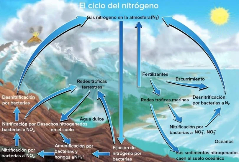El ciclo del agua: definición, etapas e importancia ambiental 1 el ciclo del agua definicion etapas e importancia ambiental
