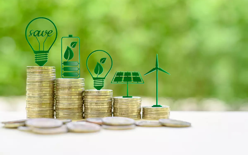 El papel de los financistas en la construcción sostenible 1 el papel de los financistas en la construccion sostenible