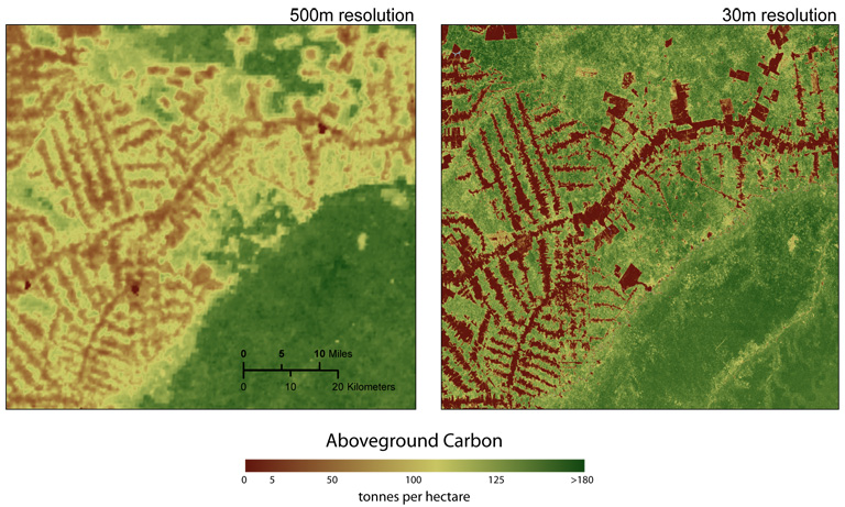El papel de los satélites en la evaluación de la deforestación 1 el papel de los satelites en la evaluacion de la deforestacion