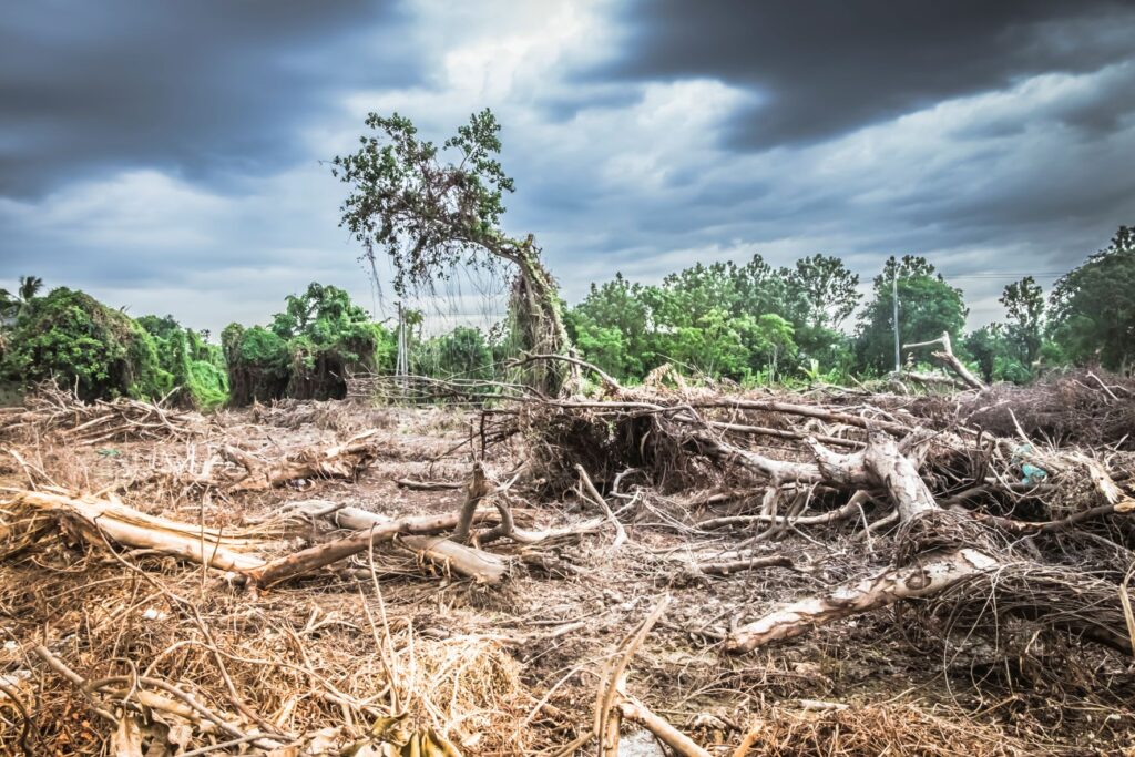 Factores Naturales y Humanos que Afectan el Clima Actual 1 factores naturales y humanos que afectan el clima actual