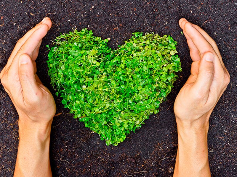 Funcionamiento y beneficios de la certificación BREEAM 1 funcionamiento y beneficios de la certificacion breeam
