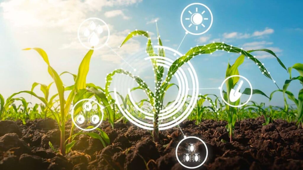 Impacto de la agricultura regenerativa en el cambio climático 1 impacto de la agricultura regenerativa en el cambio climatico