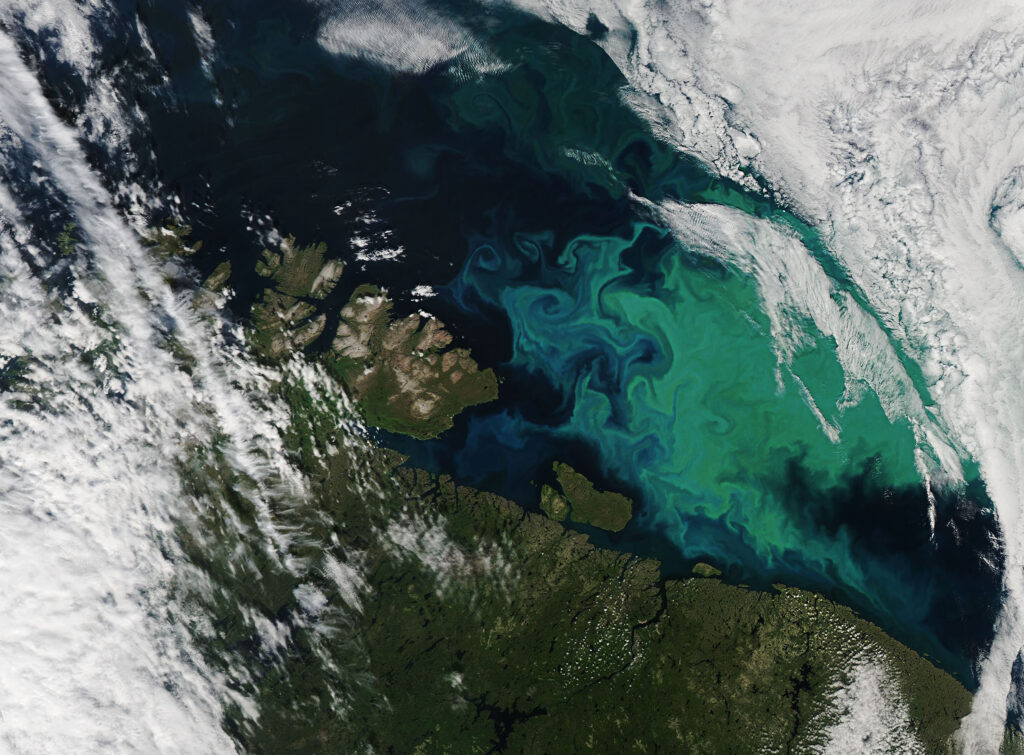 Impacto de las nubes en la salud de los océanos y su ecosistema 1 impacto de las nubes en la salud de los oceanos y su ecosistema