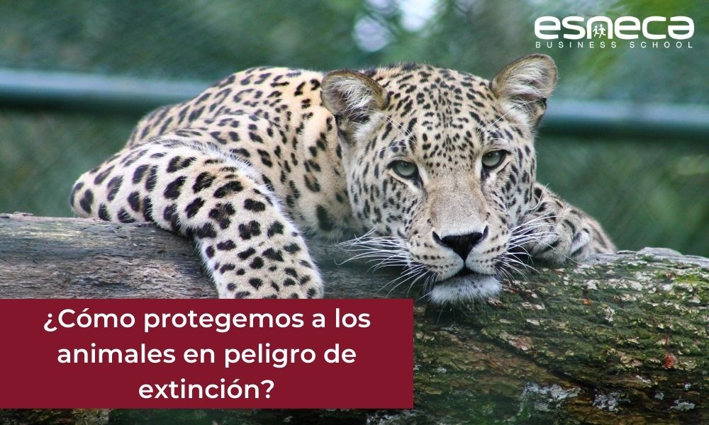 Importancia y concepto de las especies en peligro de extinción 1 importancia y concepto de las especies en peligro de
