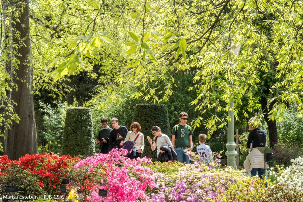 Influencia de la vegetación en la calidad del aire urbano 1 influencia de la vegetacion en la calidad del aire urbano