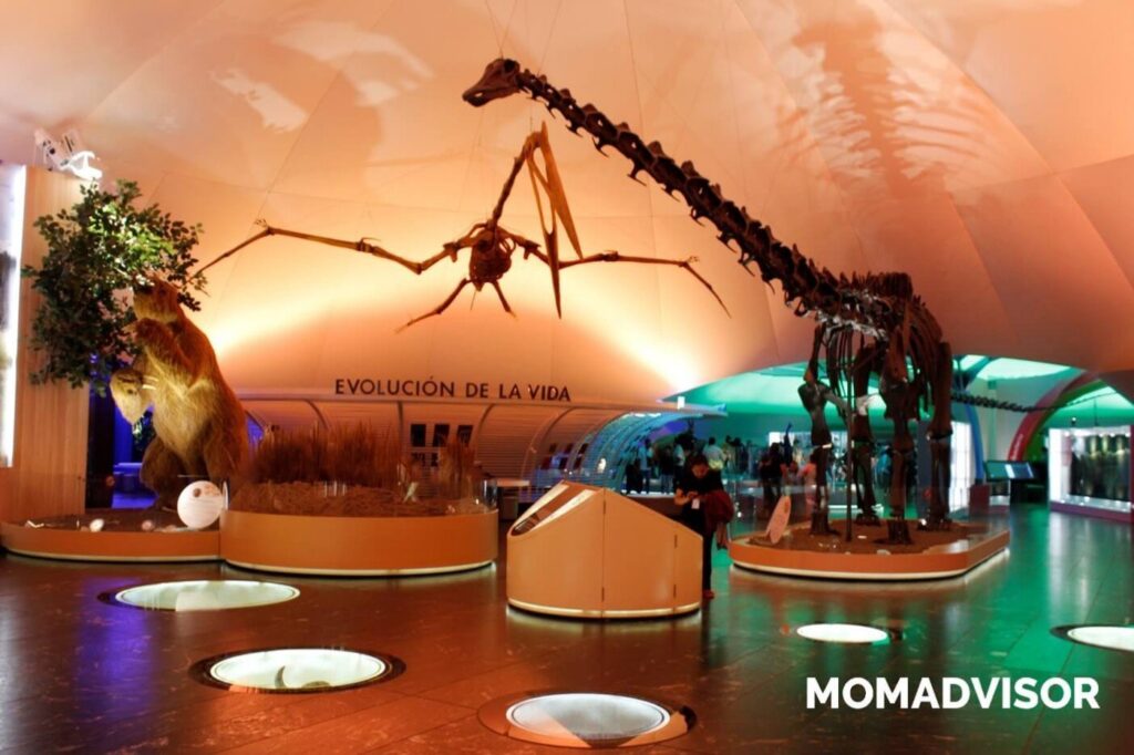 Museo de Historia Natural de Chapultepec 1 museo de historia natural de chapultepec