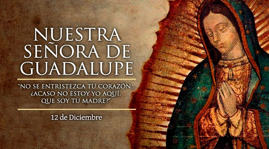 Nuestra Señora de Guadalupe 1 nuestra senora de guadalupe