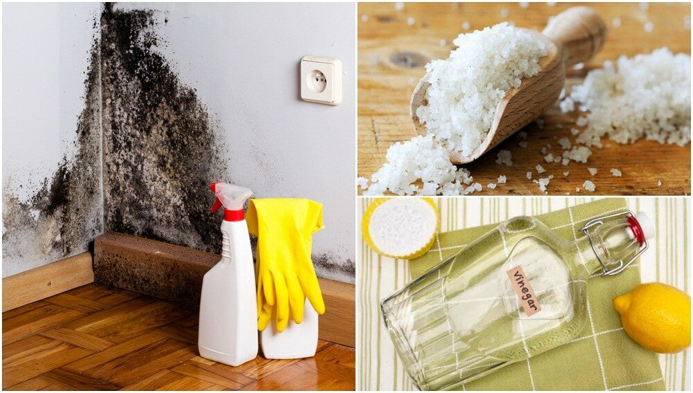 Productos efectivos para controlar la humedad en el hogar 1 productos efectivos para controlar la humedad en el hogar