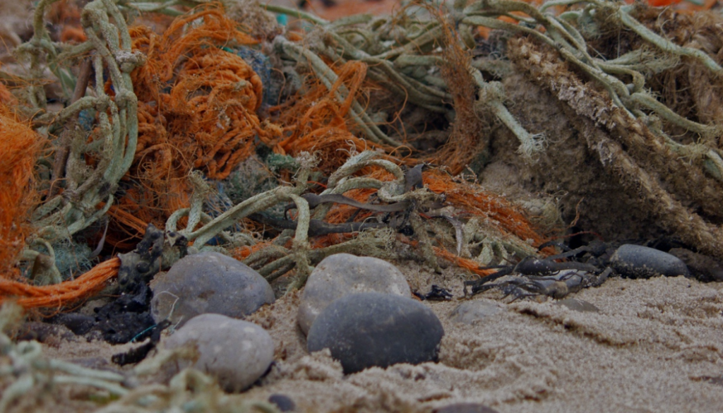 Qué ejemplos inspiradores de economía circular existen 1 que ejemplos inspiradores de economia circular existen