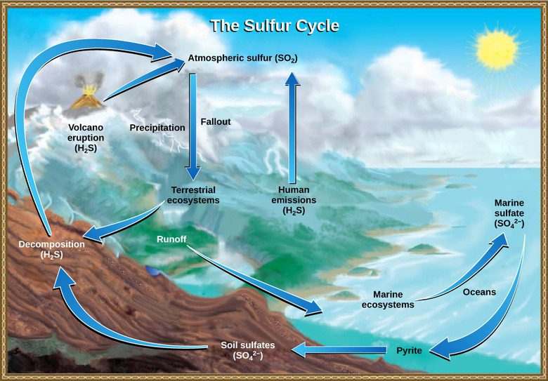 Qué papel juegan las nubes en el ciclo biogeoquímico 1 que papel juegan las nubes en el ciclo biogeoquimico
