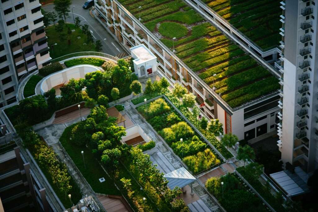 Qué son las infraestructuras verdes y cómo ayudan 1 que son las infraestructuras verdes y como ayudan