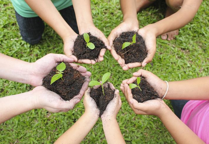 Qué son los proyectos de restauración ecológica 1 que son los proyectos de restauracion ecologica