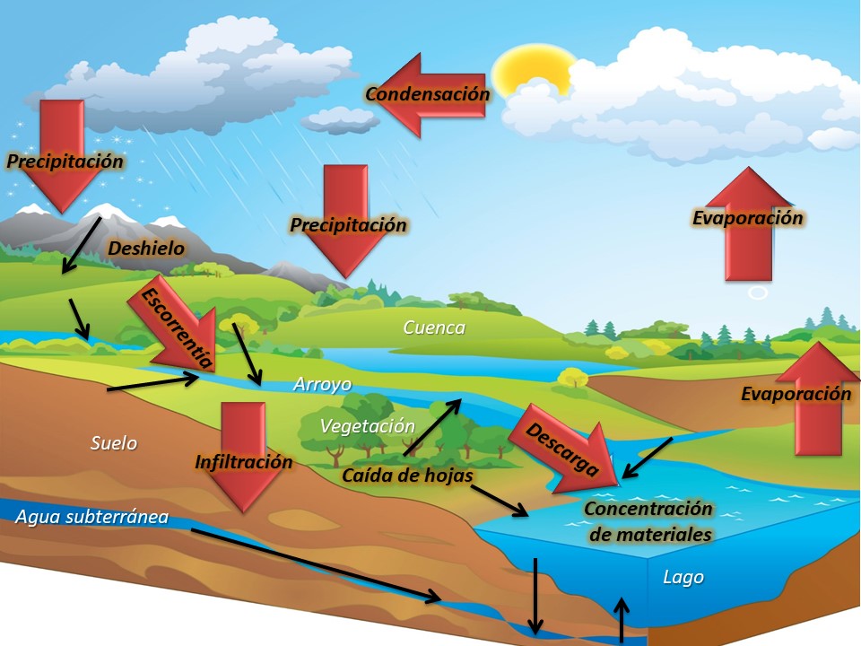 Relación entre ambientes acuáticos y terrestres en paisajismo 1 relacion entre ambientes acuaticos y terrestres en paisajismo