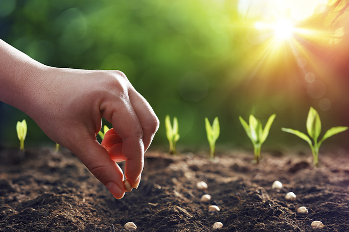 Técnicas de fertilización orgánica: métodos sostenibles y eficaces 1 tecnicas de fertilizacion organica metodos sostenibles y eficaces