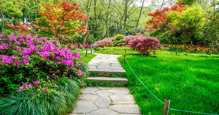 Tipos de jardines sostenibles y su relevancia para el medio ambiente 1 tipos de jardines sostenibles y su relevancia para el medio ambiente