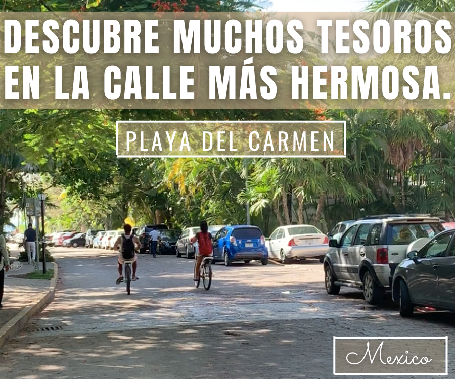 Tráfico en Tiempo Real: Cómo Llegar a Bodega Aurrerá Jardines de la Primavera 1 trafico en tiempo real como llegar a bodega aurrera jardines de la primavera