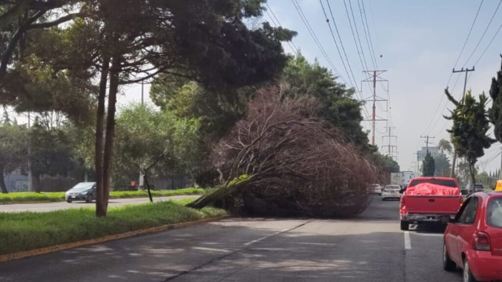 Tráfico en Tiempo Real: Cómo Llegar a Lerma Park II 1 trafico en tiempo real como llegar a lerma park ii